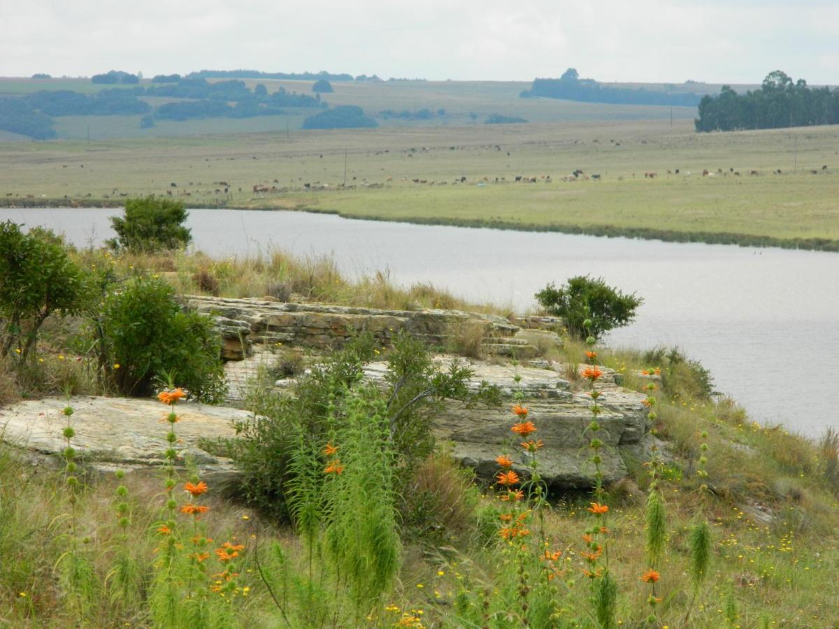 La Vista Farm Stay Ermelo Zewnętrze zdjęcie