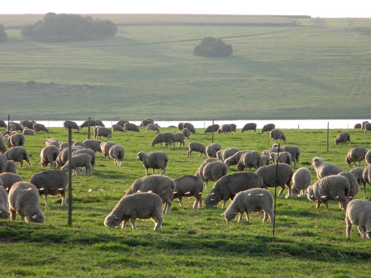 La Vista Farm Stay Ermelo Zewnętrze zdjęcie