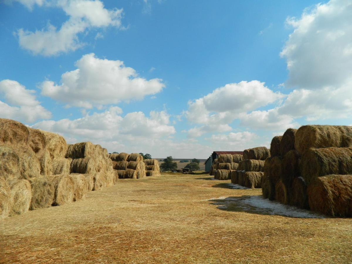 La Vista Farm Stay Ermelo Zewnętrze zdjęcie