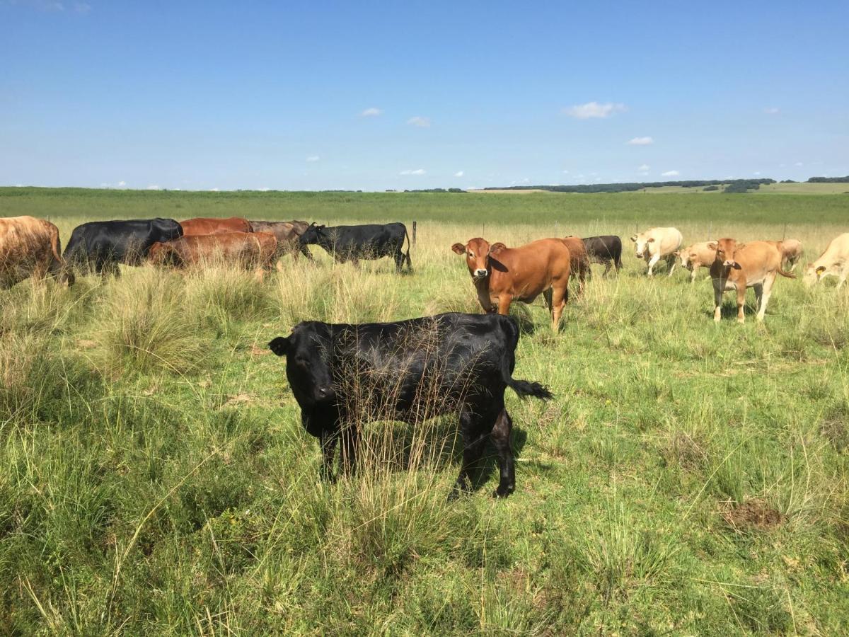 La Vista Farm Stay Ermelo Zewnętrze zdjęcie