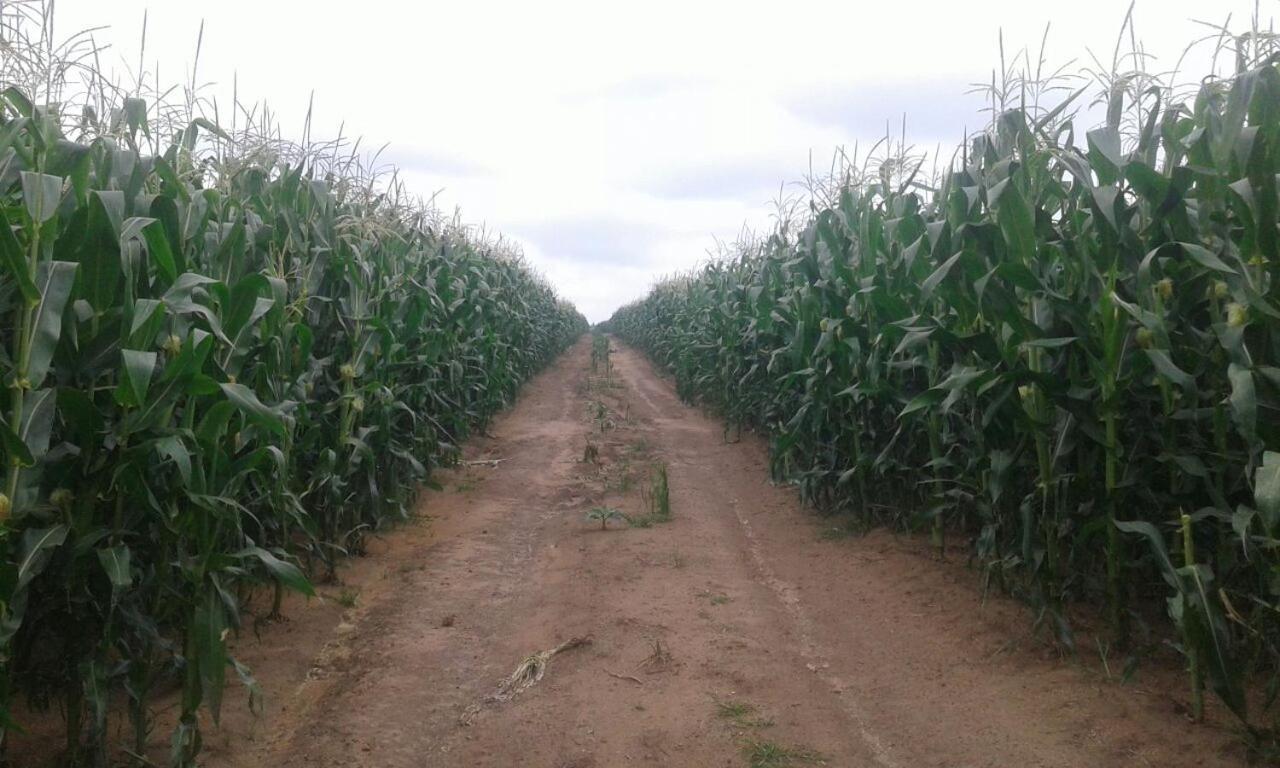 La Vista Farm Stay Ermelo Zewnętrze zdjęcie