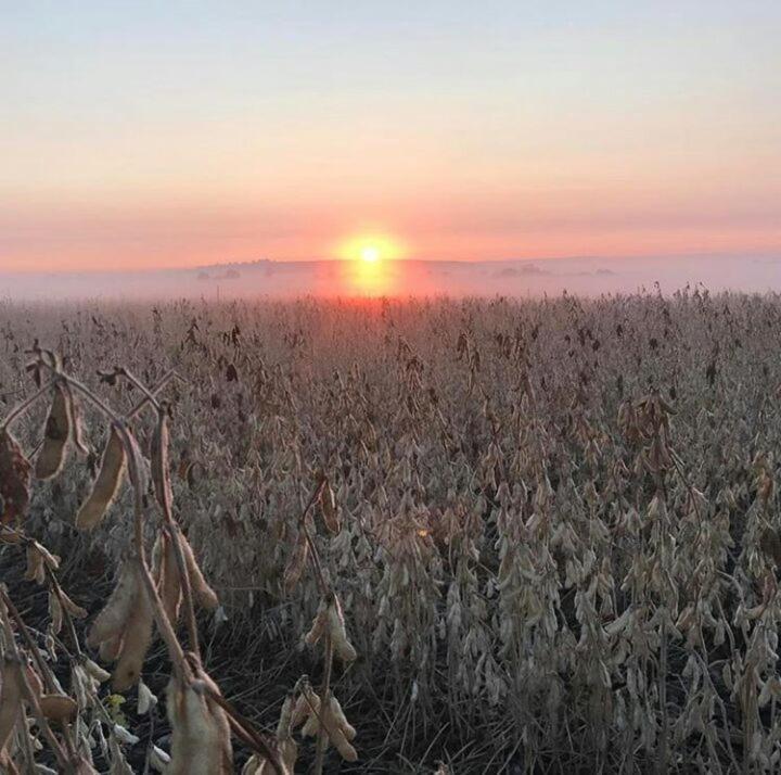 La Vista Farm Stay Ermelo Zewnętrze zdjęcie