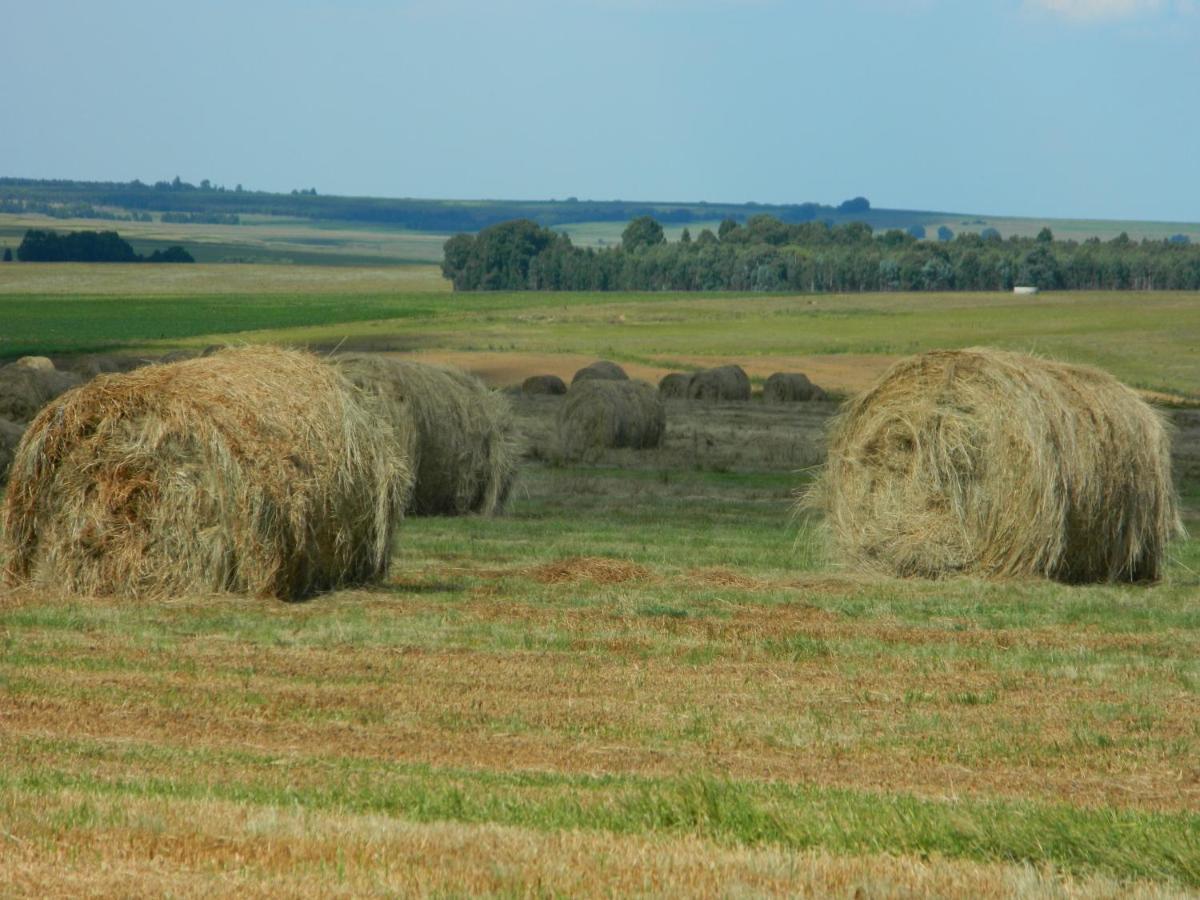 La Vista Farm Stay Ermelo Zewnętrze zdjęcie
